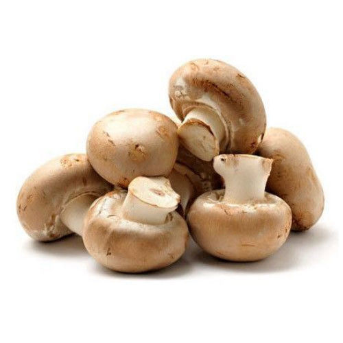 Healthy and Natural Fresh Brown Mushroom
