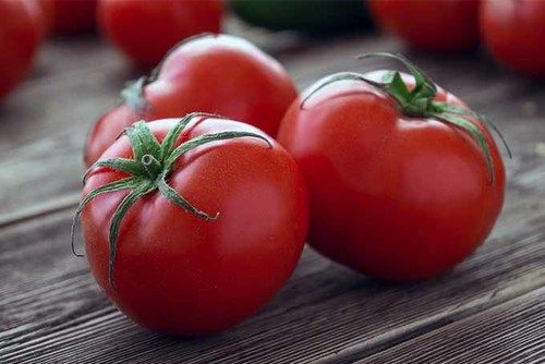 Healthy and Natural Fresh Red Tomato