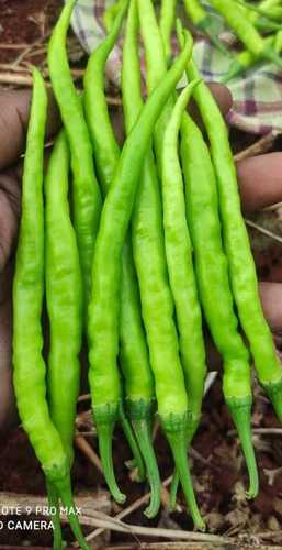 Natural Fresh Green Chilly