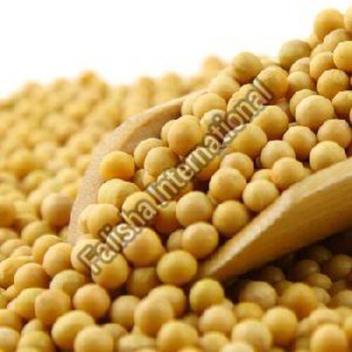 Off White Organic Soybean Seeds For Cooking