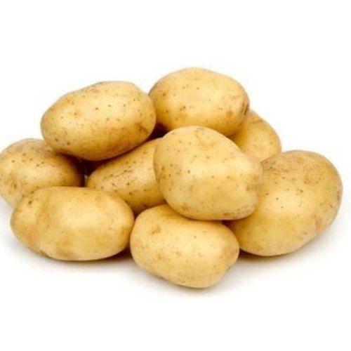 Healthy and Natural Fresh Potato