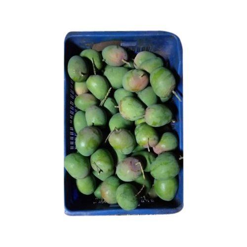 Healthy and Natural Organic Raw Mango