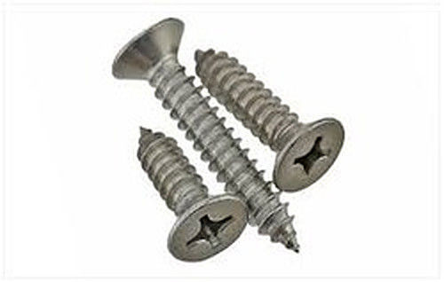 Polished Stainless Steel Countersunk Head Screw