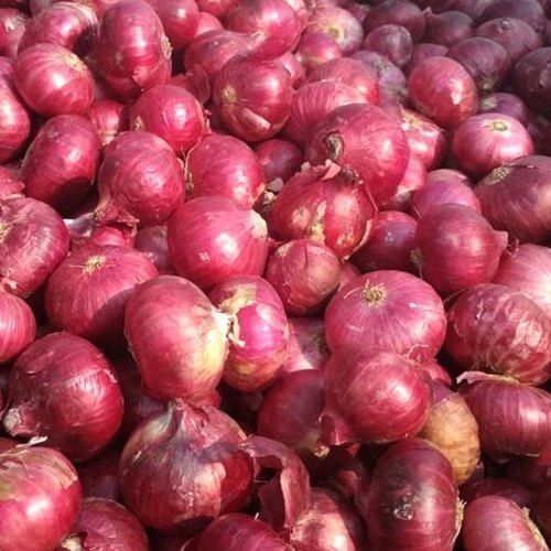 Healthy and Natural Fresh Pink Onion