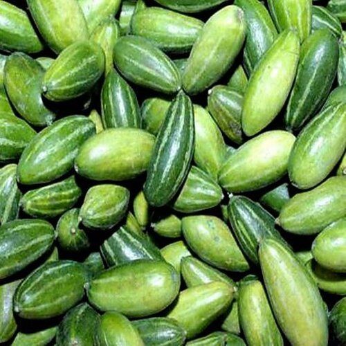 Healthy And Natural Fresh Pointed Gourd