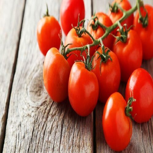 Round Healthy And Natural Fresh Tomato