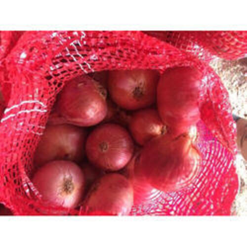 Healthy and Natural Organic Red Onion