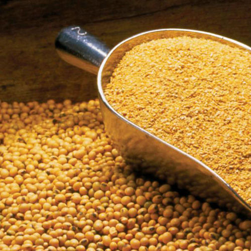 Soya Bean Meal for Animal Feed, Corn Meal, Fish Meal