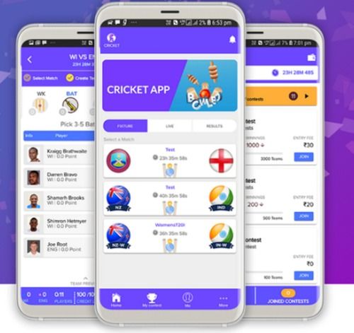 Dream 11 Fantasy Cricket Android App Development Service