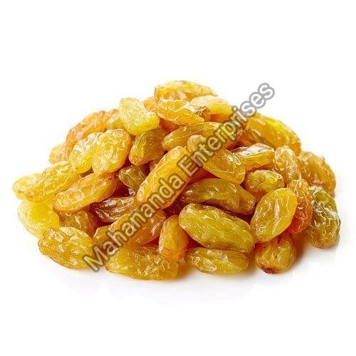 Organic and Healthy Yellow Raisins