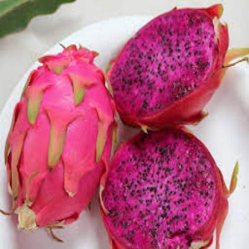 Fresh Dragon Fruit - Organic Whole, Sweet Pink Color | Very Good Food Grade Quality, Natural Taste, Non Harmful