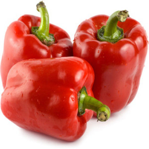 Healthy And Natural Fresh Red Capsicum Shelf Life: 5-7 Days