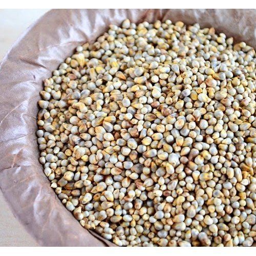 High In Protein Pearl Millet