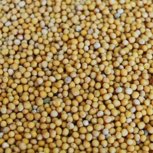 Natural Cooking Mustard Seeds