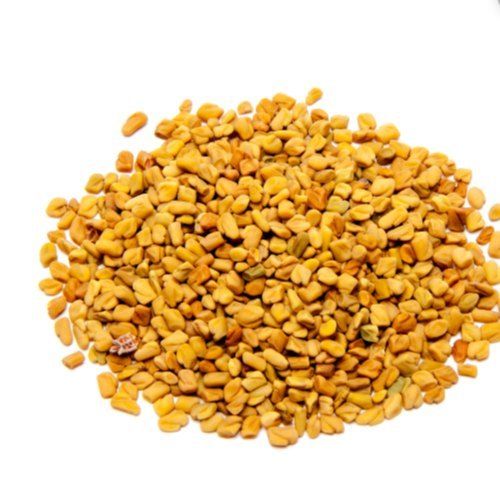 Yellow Color Fenugreek Seed Grade: Premium