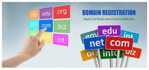 Domain Name Registration Service