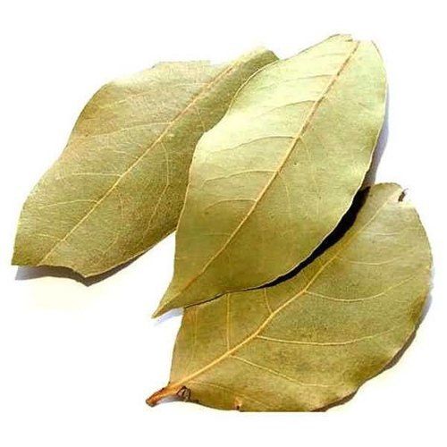 Brown Green Color Pulav Bay Leaf