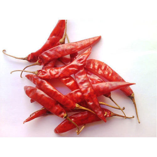 Powder Guntur Dry Red Chilli