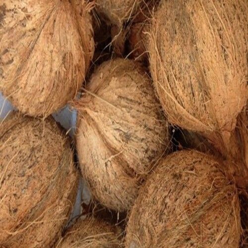 Brown Healthy And Natural Semi Husked Coconut