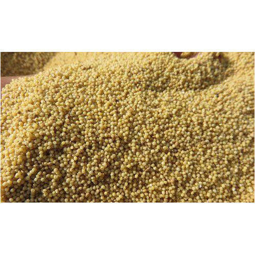 High In Protein Foxtail Millet