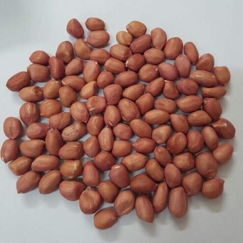 High In Protein Java Peanut