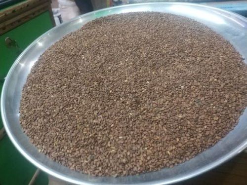 Hygienically Processed Sesame Seeds