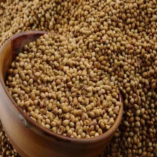 Brownish Green Whole Dried Coriander Seeds