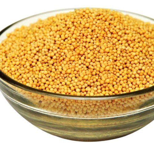 Yellow Color Mustard Seed Grade: Premium