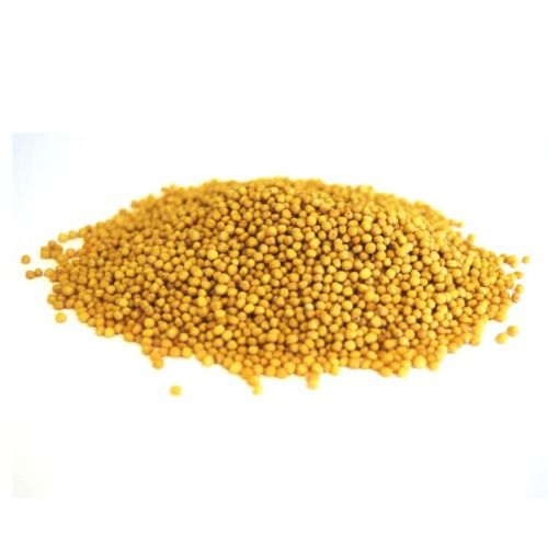 Yellow Color Mustard Seed Purity: 100%