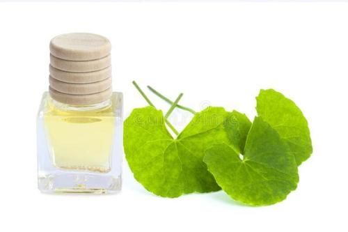 Pure Organic Centella Asiatica Herbal Extract - Liquid Form, 100% Pure Natural, Edible, Cold-Extracted Green Leaf Essence for Food and Health Care Applications