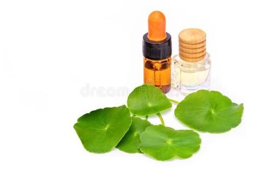 Pure Organic Centella Asiatica Herbal Extract - Food & Cosmetic Grade Liquid, 100% Purity, Cold Extracted Green Leaf Extract, Characteristic Taste, 2 Year Shelf Life