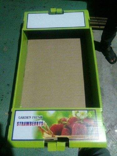 Strawberry Carton Packaging Box