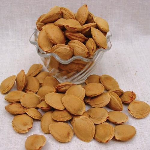 100% Natural Dried Apricot
