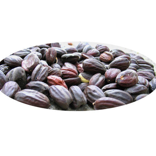 Natural Premium Jojoba Seeds