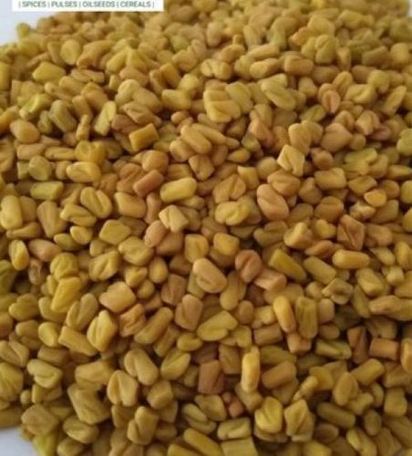 Organic Natural Yellow Fenugreek Seeds