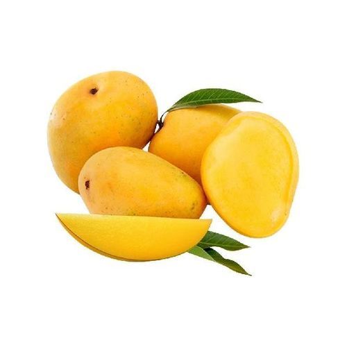 Healthy and Natural Fresh Chaunsa Mango