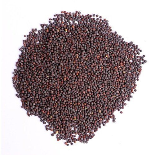 Healthy and Natural Mustard Seeds - Round Shape, Very Good Quality, Brown Color | Non Harmful, Natural Taste, Common Cultivation Type, Food Grade