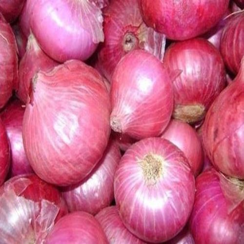 Organic and Natural Fresh Pink Onion
