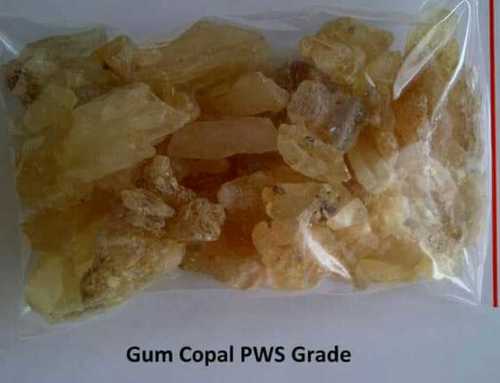 PWS Grade Gum Copal