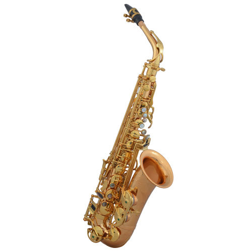 Xa-980rl Alto Saxophone