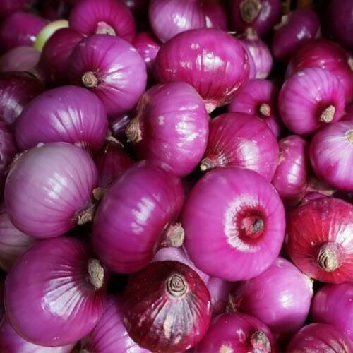 Healthy and Natural Fresh Pink Onion