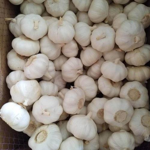 Instant Organic Farm Fresh Garlic