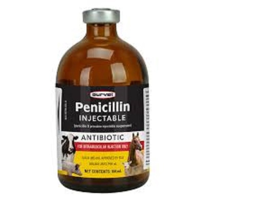 Penicillin Injectable Cas No: 1406-05-9