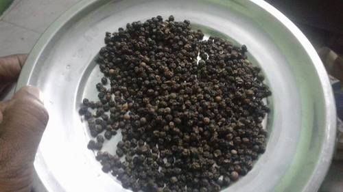 Premium Grade Black Pepper - Density 500gr/l Min, Moisture 13.5% Max, Foreign Matter 1% Max, Packed in 50-60 kg PP Bags, Container Capacity 13.5 MT/Cont 20ft