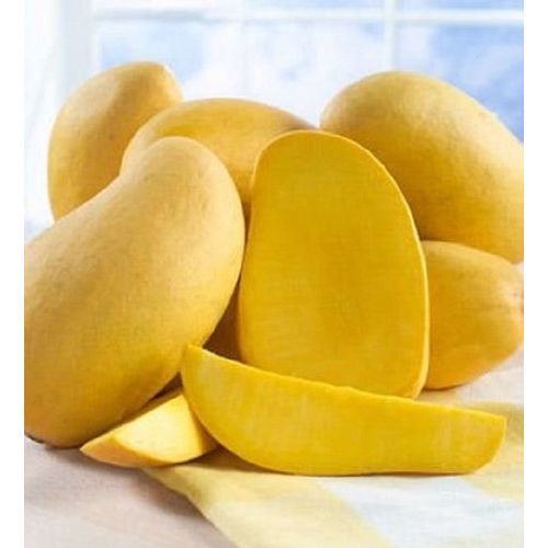 Yellow A Grade Fresh Mango