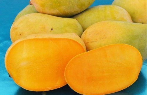 Fibreless Healthy Kesar Mango