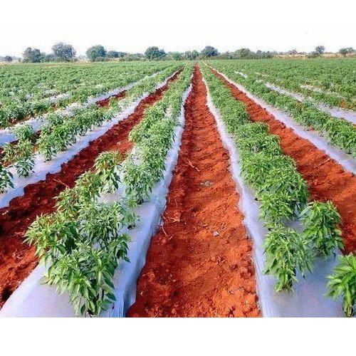 Mulching Sheets For Farming Use Cover Material: Film