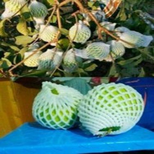 White Guava Fruits Foam Net Application: For Packaging