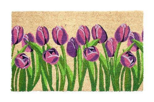 Colorful Printed Coir Doormats Back Material: Anti-Slip Latex