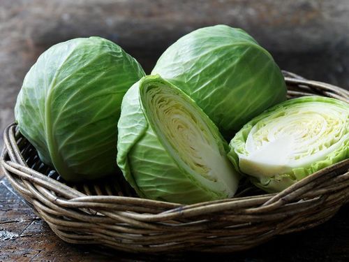 Healthy And Natural Fresh Cabbage